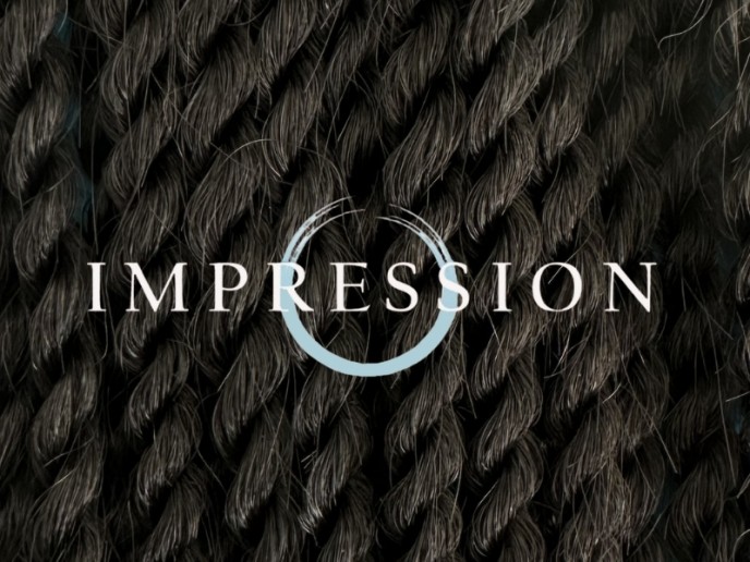 Impression Havana Soft Senegalese Twist - 2