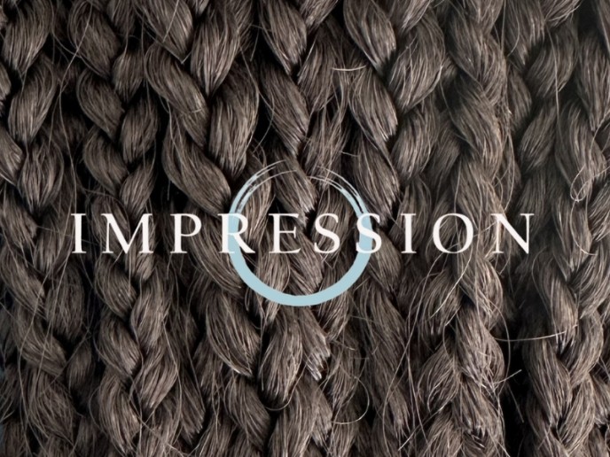 Impression Havana Medium Box Braids-4