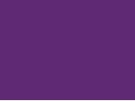 T1B/PURPLE