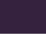 T1B/VIOLET