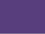 TPURPLE/LILAC