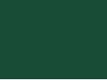RT1B/GREEN