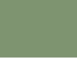 TT1B/PURPLE/GREEN