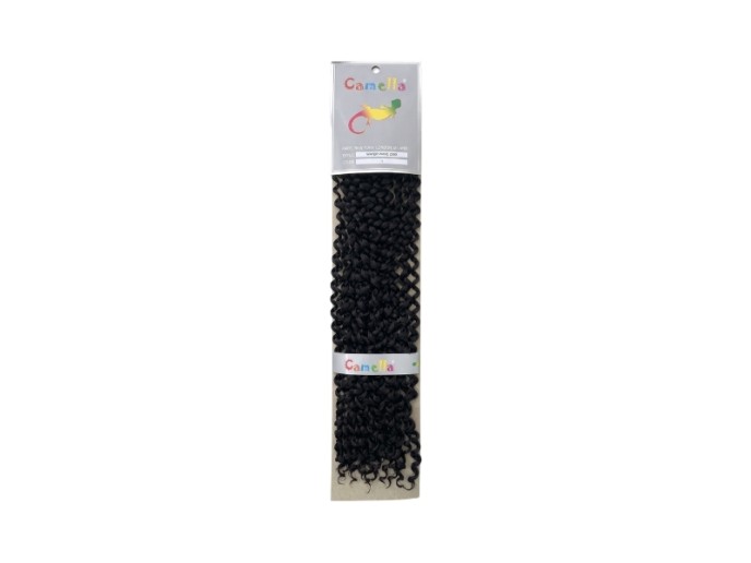 Camella Water Wave 2000 - 1